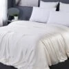 LilySilk All Season Silk Comforter Silk Cover