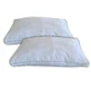 Cotton House - Set Of Two Pillows, Microfiber Gel, 100% Egyptian Cotton Cover, Queen Size